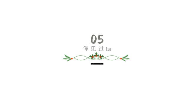 8868体育孩子考上大学那一天老婆跟我离婚小姨子找上门说愿意嫁给我(图8)